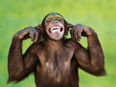 I Hear You But I Am Not Listening